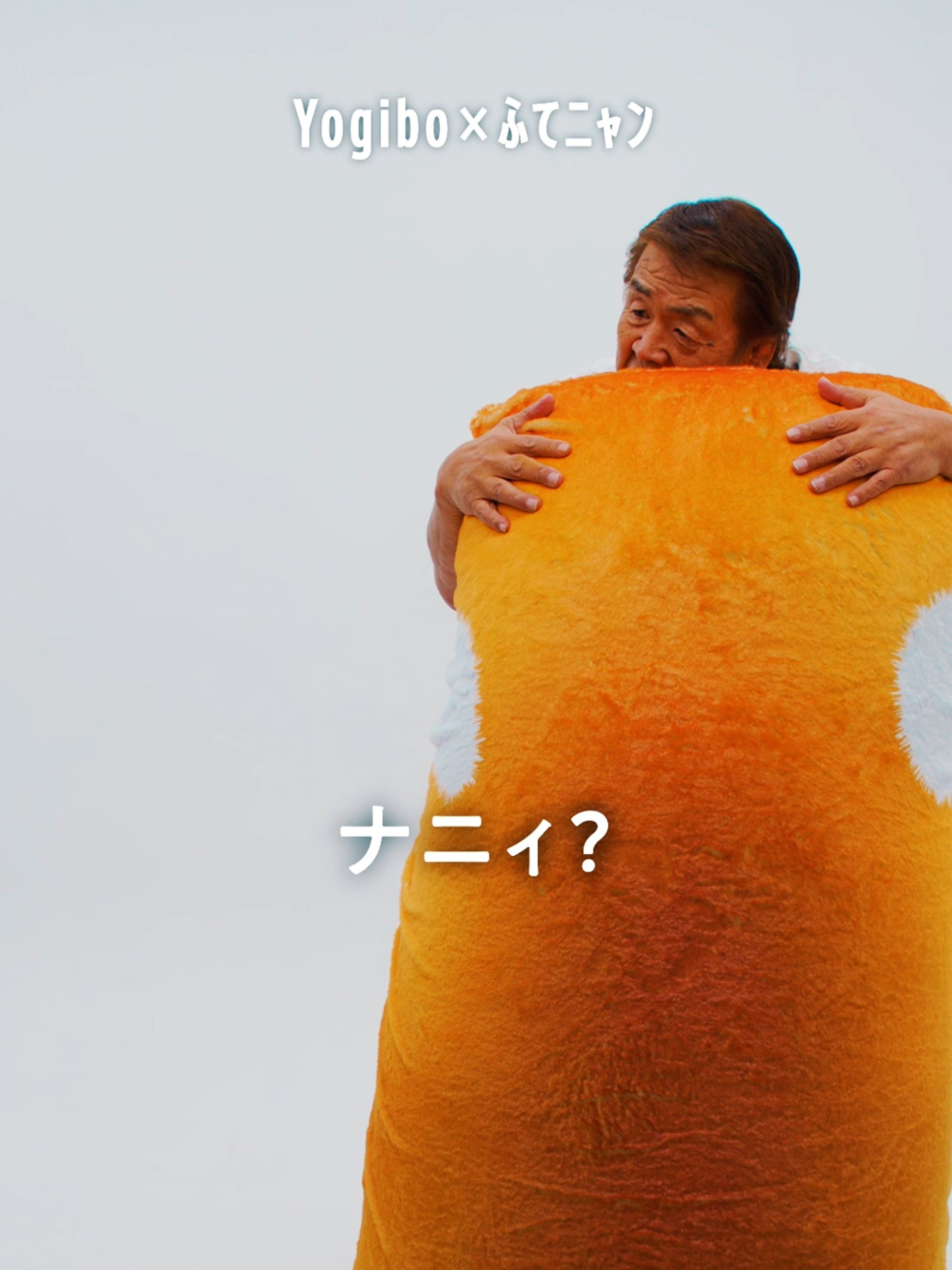 Y!mobile猫の日(2/22)キャンペーンに出演します